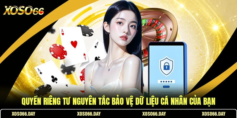 Quyền Riêng Tư Nguyên Tắc Bảo Vệ Dữ Liệu Cá Nhân Của Bạn