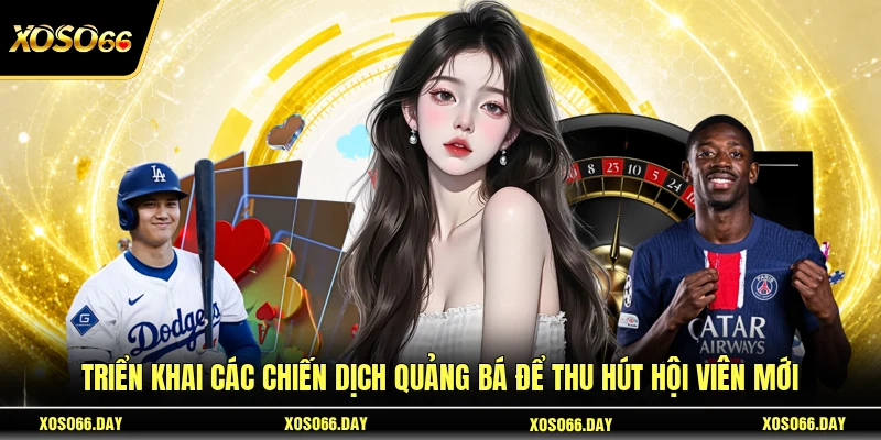 Triển khai các chiến dịch quảng bá để thu hút hội viên mới